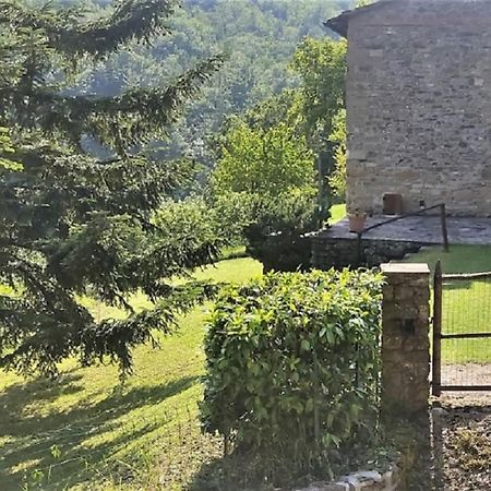Casa Titina Riposo E Relax Nella Campagna Toscana 普拉托韦基奥 外观 照片