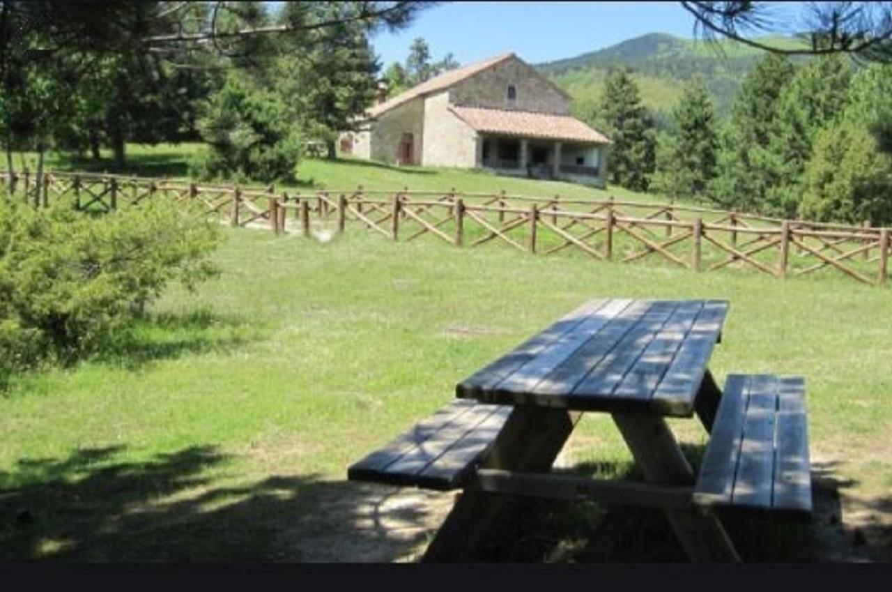 Casa Titina Riposo E Relax Nella Campagna Toscana 普拉托韦基奥 外观 照片