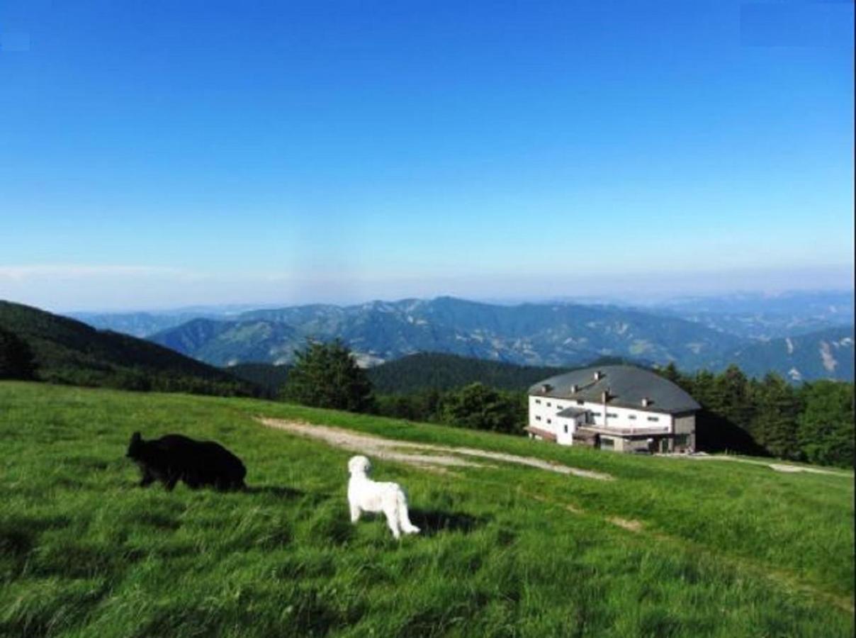 Casa Titina Riposo E Relax Nella Campagna Toscana 普拉托韦基奥 外观 照片