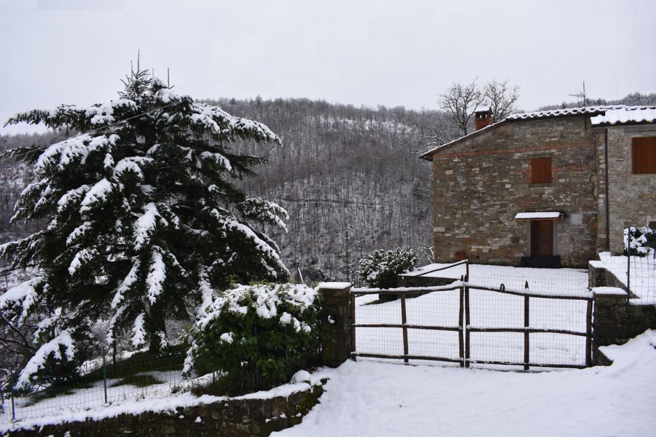 Casa Titina Riposo E Relax Nella Campagna Toscana 普拉托韦基奥 外观 照片