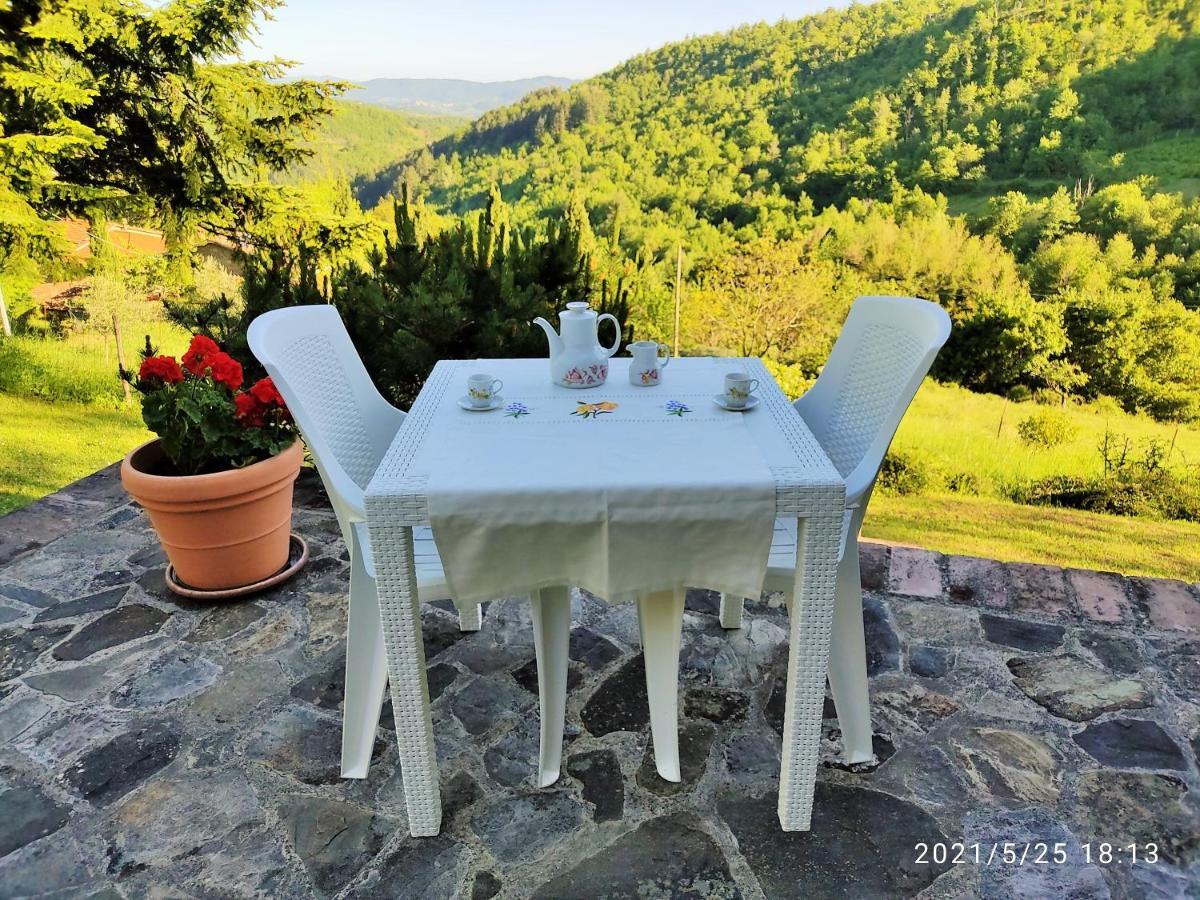 Casa Titina Riposo E Relax Nella Campagna Toscana 普拉托韦基奥 外观 照片